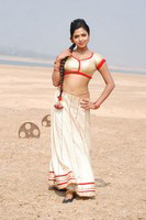 Amala Paul Latest Photos